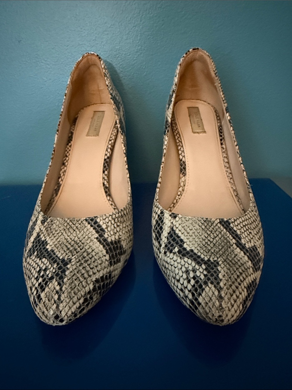Cole Haan Snake-Print Pointed Toe - Black & Cream heal